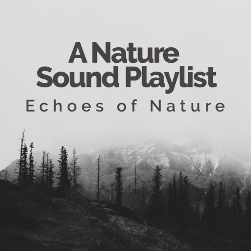 Echoes of Nature - A Nature Sound Playlist - 2019