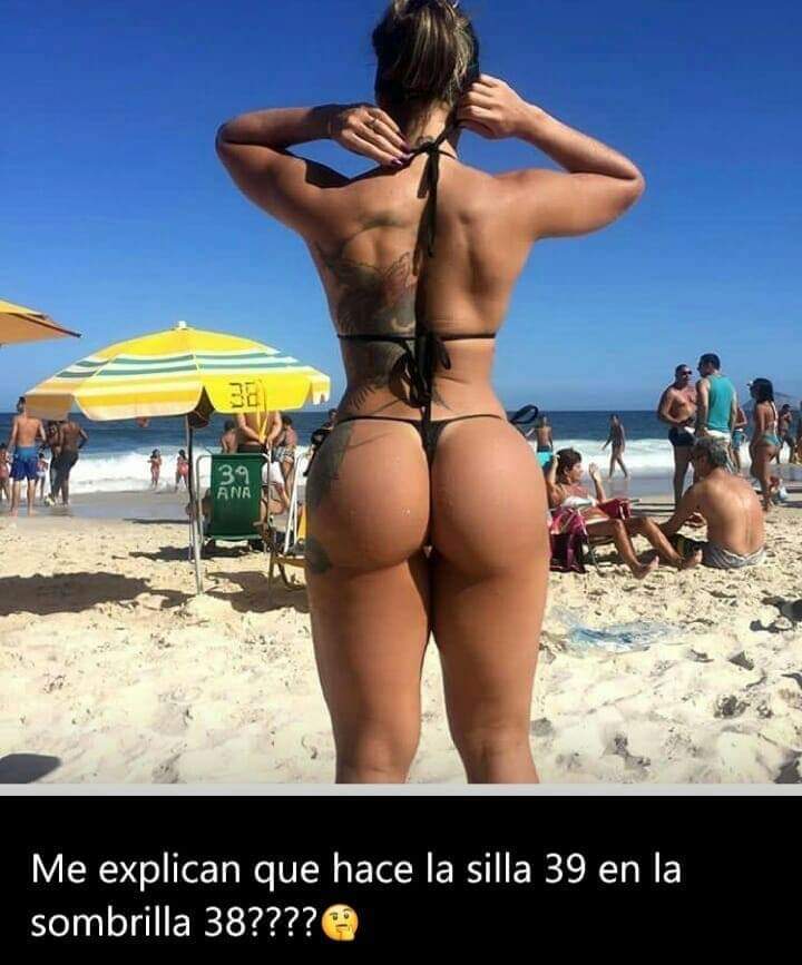 conchas