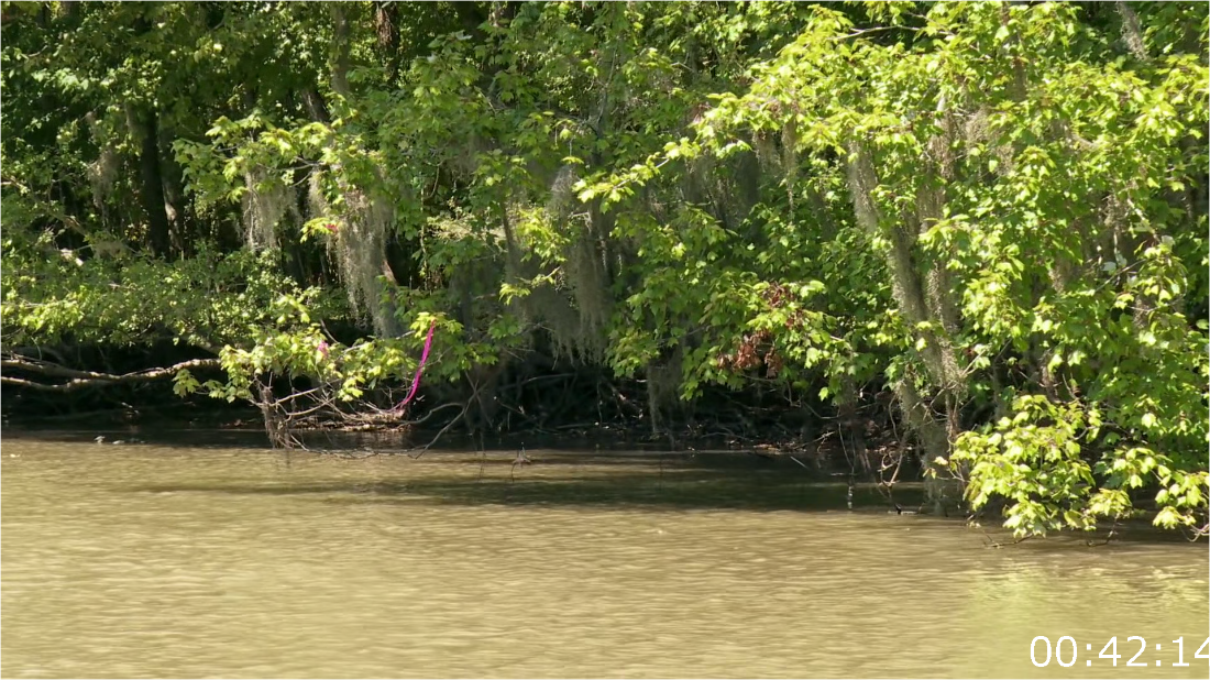 Swamp People S15E07 [1080p] (x265) HLVr4kWV_o