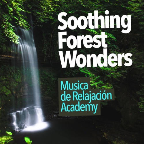 Relajacion del Mar - Soothing Forest Wonders - 2019