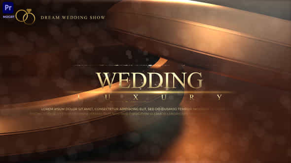 Wedding - VideoHive 50564325