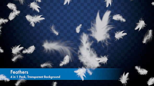 Feathers Overlays Pack - VideoHive 20275629