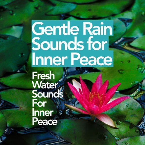 Fresh Water Sounds for Inner Peace - Gentle Rain Sounds for Inner Peace - 2019
