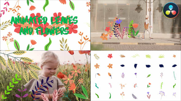 Animated Leaves And - VideoHive 42946163