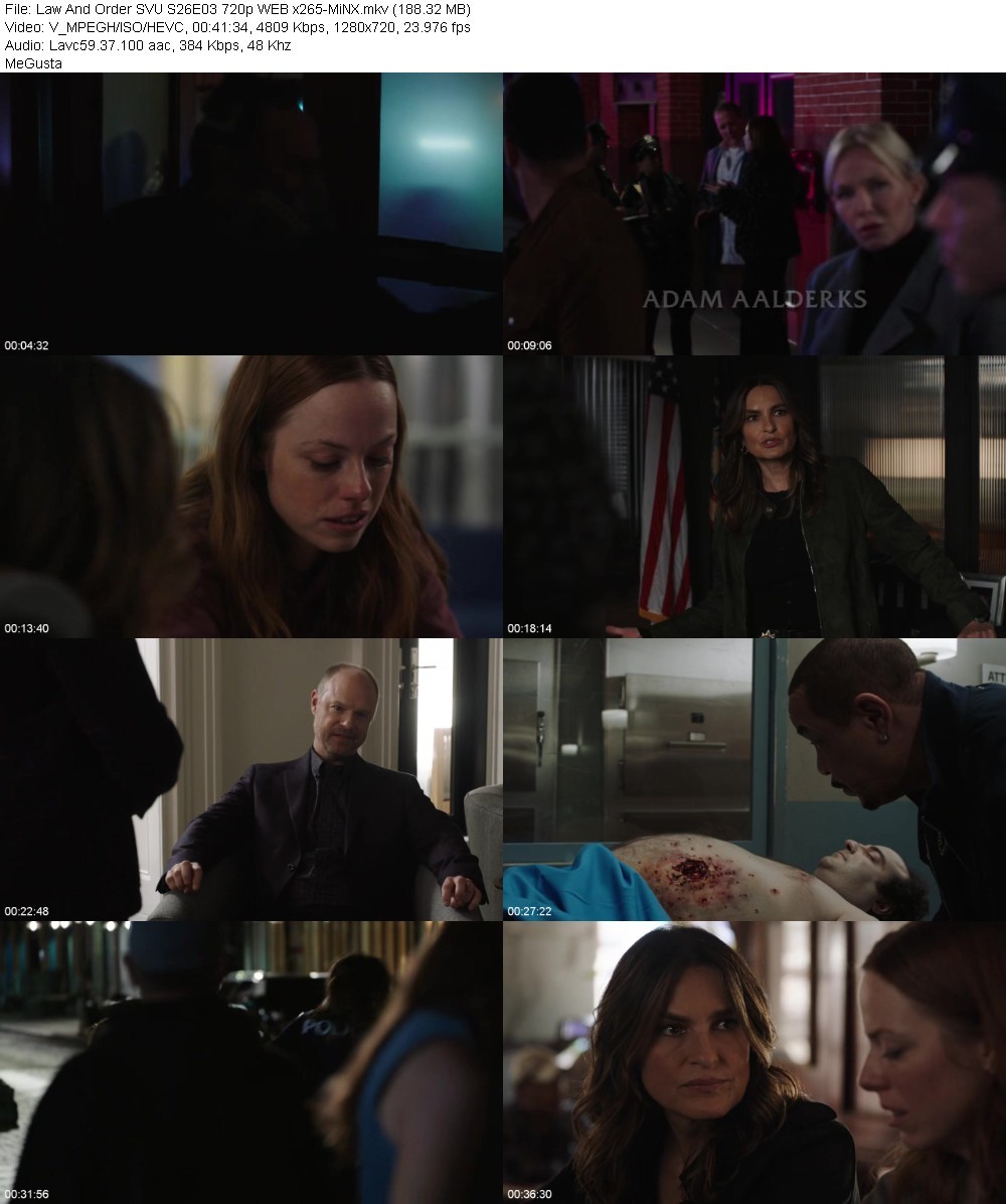 Law And Order SVU S26E03 720p WEB x265-MiNX