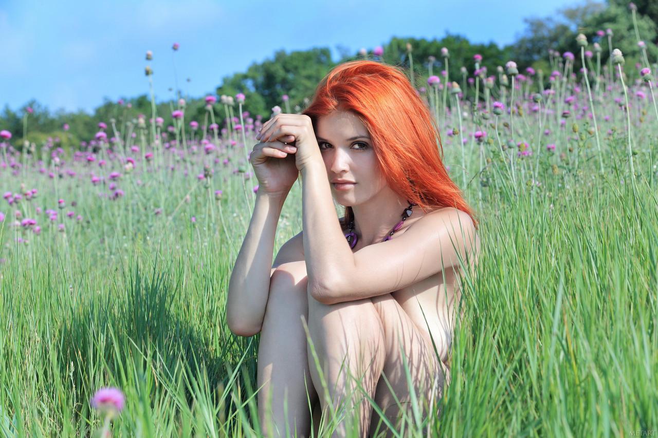 Redheaded babe Violla A poses completely naked among the purple flowers(11)