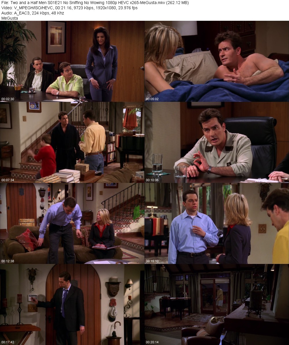 Two and a Half Men S01E21 No Sniffing No Wowing 1080p HEVC x265-MeGusta