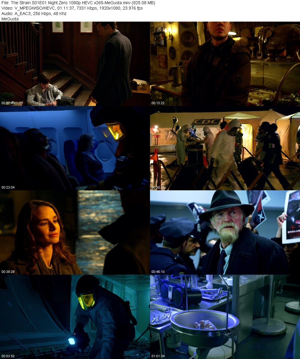 The Strain S01E01 Night Zero 1080p HEVC x265-MeGusta