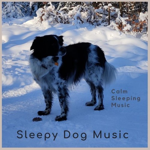 Sleepy Dog Music - Calm Sleeping Music - 2022