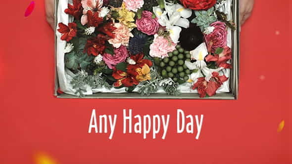 Any Happy Day Opener - VideoHive 15278495