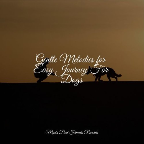 Music for Calming Dogs - Gentle Melodies for Easy Journey For Dogs - 2022