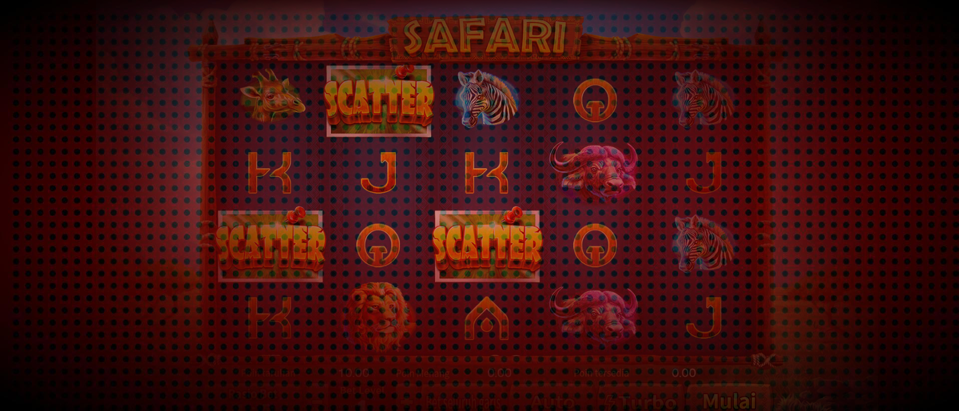 Safari