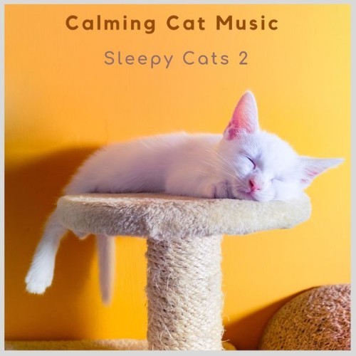 Calming Cat Music - Sleepy Cats 2 - 2021