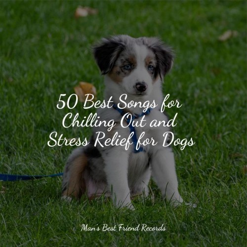 Jazz Music for Dogs - 50 Best Songs for Chilling Out and Stress Relief for Dogs - 2022