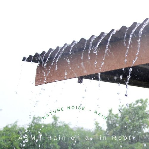 ASMR Rain on a Tin Roof - Nature Noise – Rain - 2022