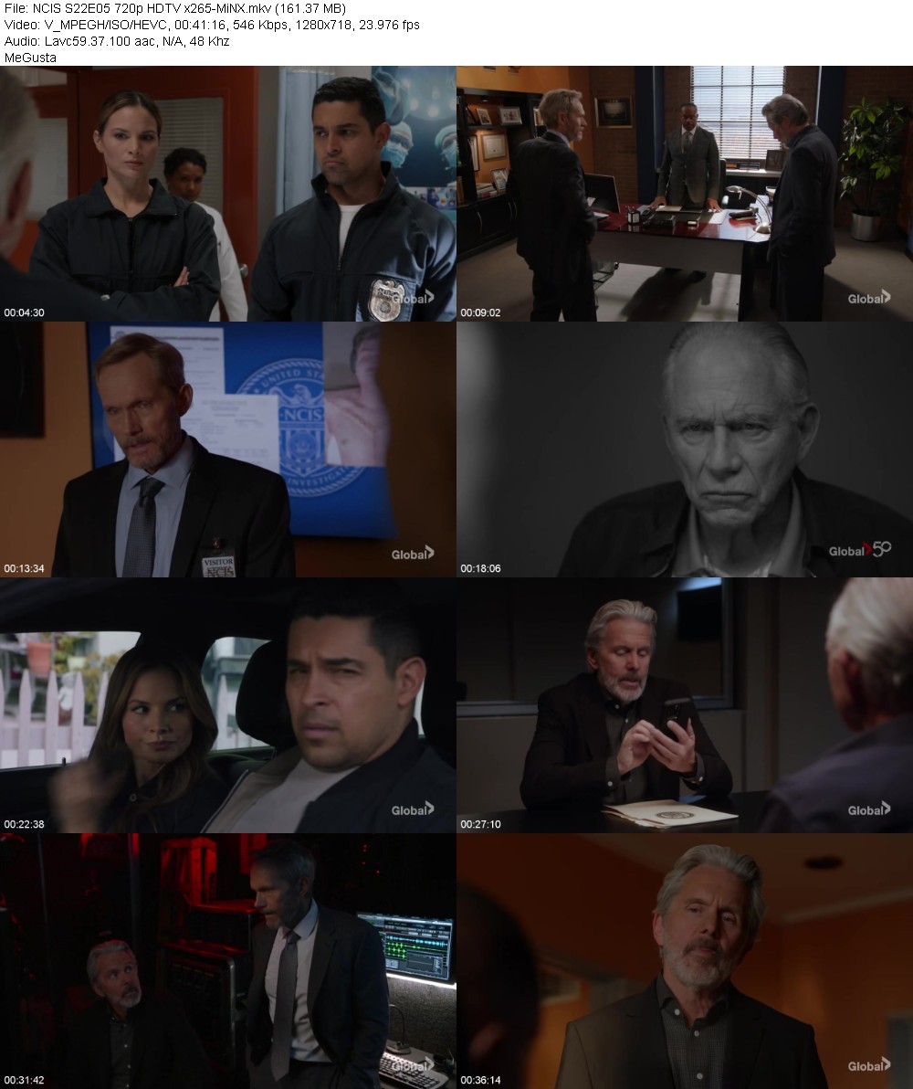 NCIS S22E05 720p HDTV x265-MiNX