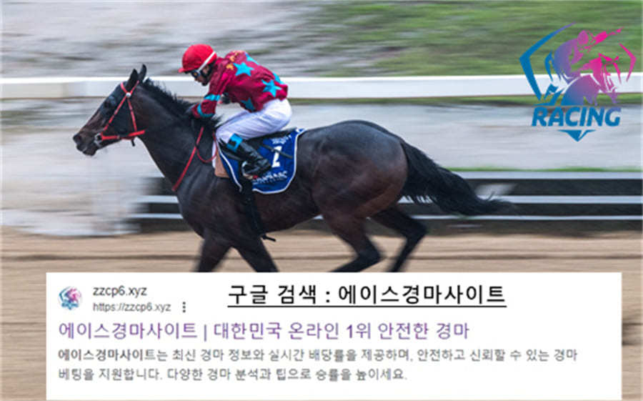 온라인 경마 시행