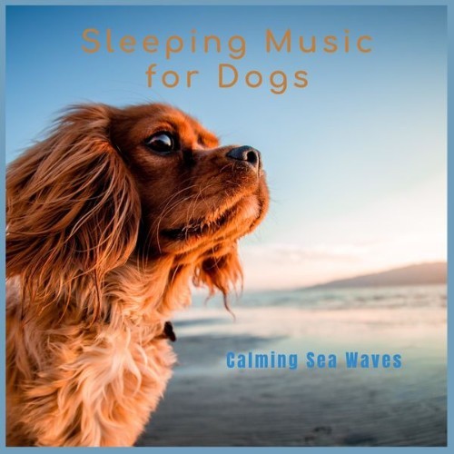 Sleeping Music For Dogs - Calming Sea Waves - 2022