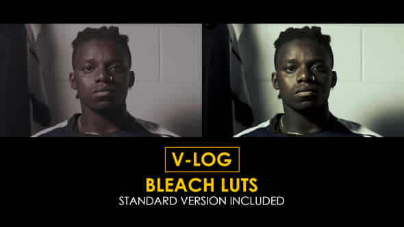 Vlog Bleach And Standard Color Luts - VideoHive 51443757