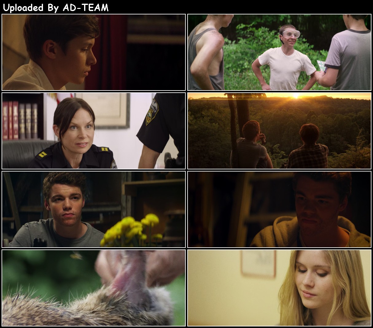 The Kings of Summer 2013 1080p BluRay x265-RARBG RmRWWETi_o