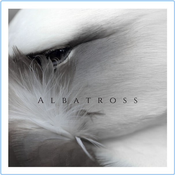 Aukai Albatross (2024) 24Bit 44 1kHz [FLAC] Wtu3nVVW_o