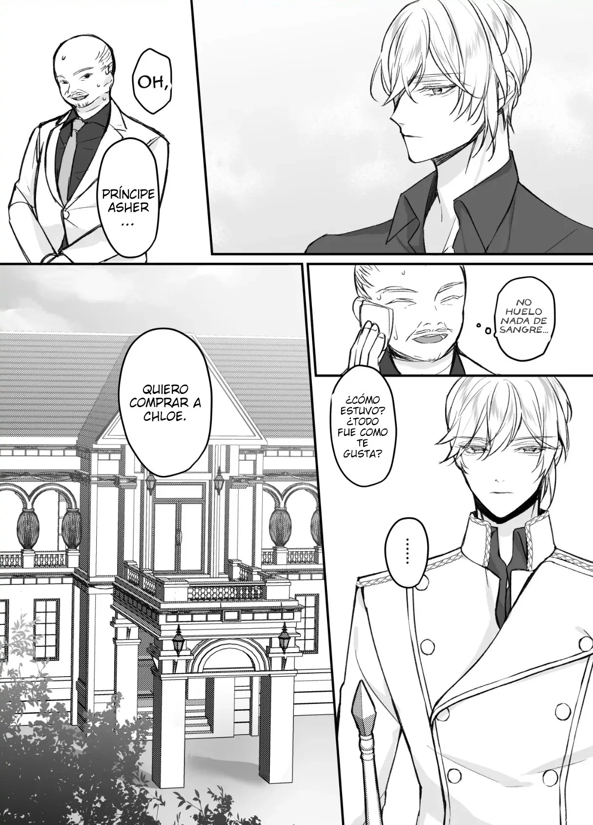The prince and the cat - 17