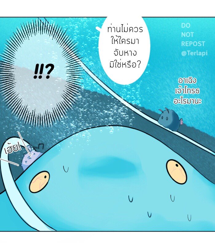 w4mQTtPt_o.jpg