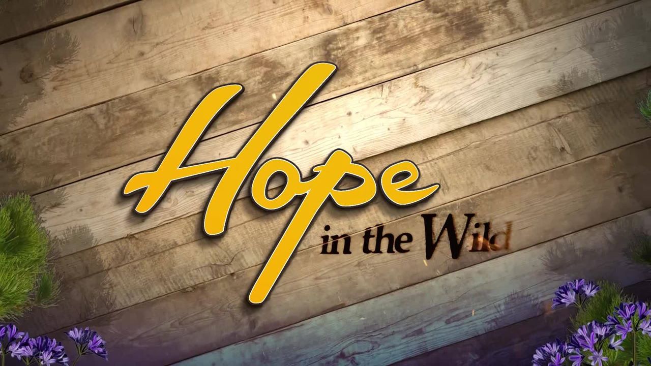 Hope in the Wild S02E07 Complicated Cat Care 720p WEB x264 LiGATE