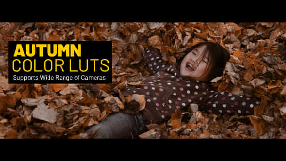 Autumn LUTs - VideoHive 38413510