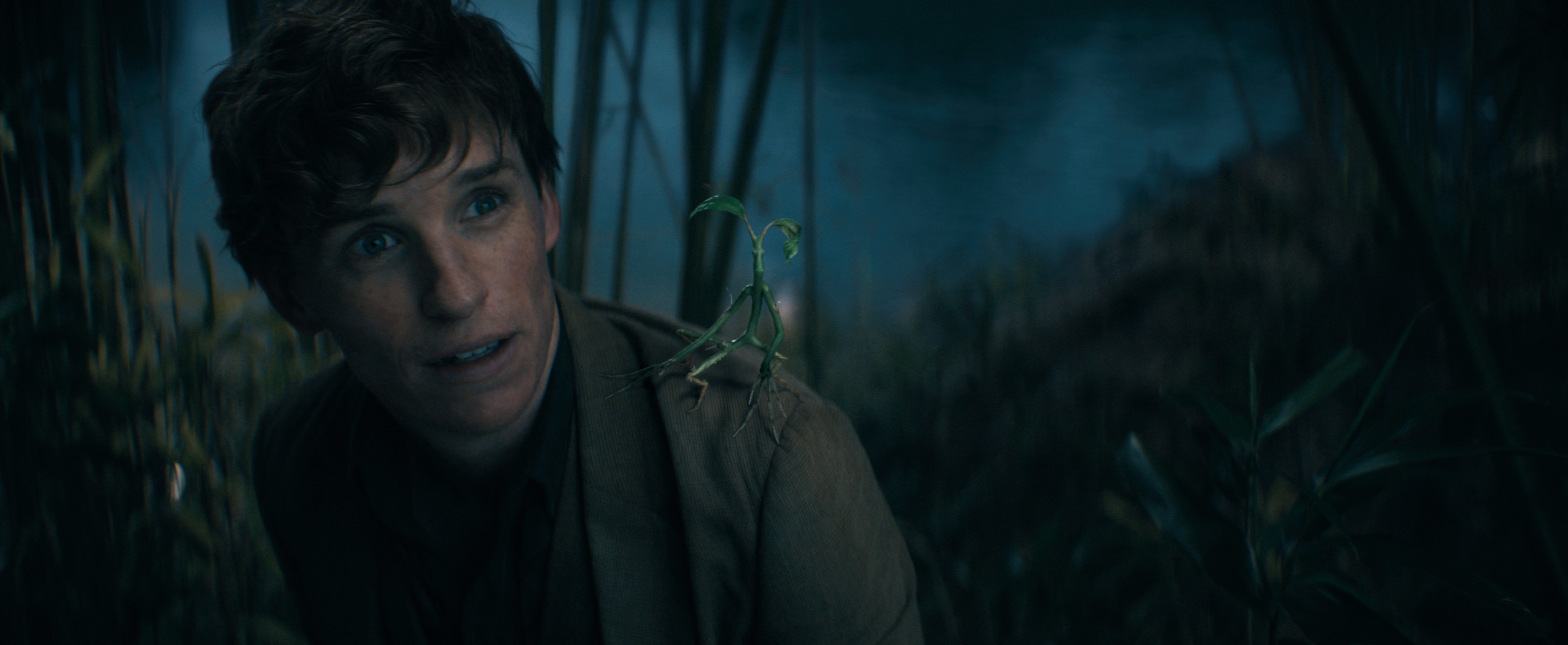 Newk Scamander & Pickett
