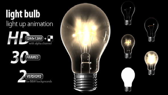 Light bulb light - VideoHive 142391