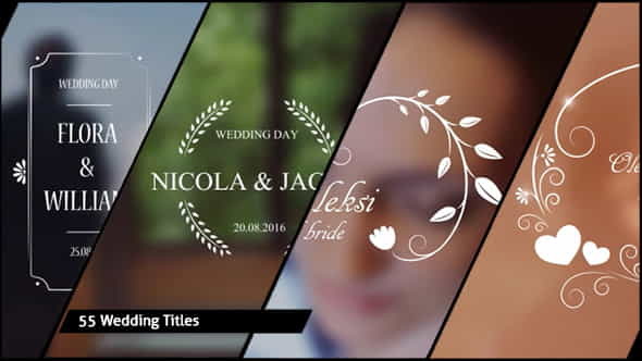 Wedding Titles - VideoHive 17267979