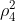 \rho _4^2