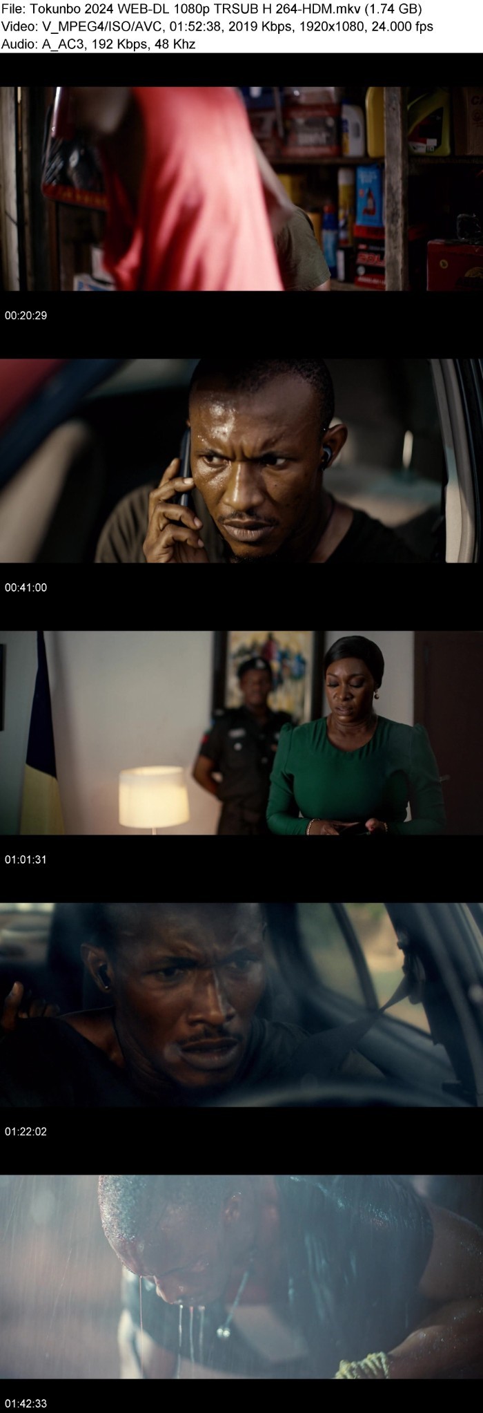 Tokunbo (2024) WEB-DL 1080p TRSUB H 264-HDM NwItOZqH_o