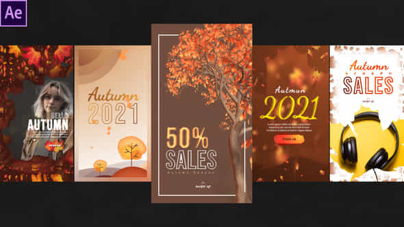 Autumn Season Instagram - VideoHive 33862353