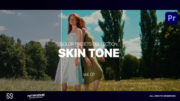 Skin LUT Collection - VideoHive 47632816