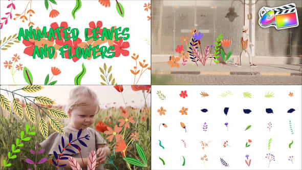 Animated Leaves And Flowers For Fcpx | VideoHive 42945439