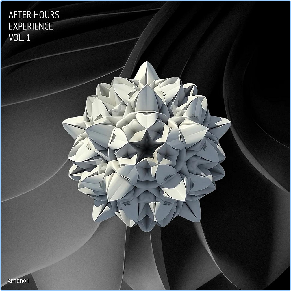 Various Artists - After Hours Experience Vol 1 (2024) [320 Kbps] XGw7xI5N_o