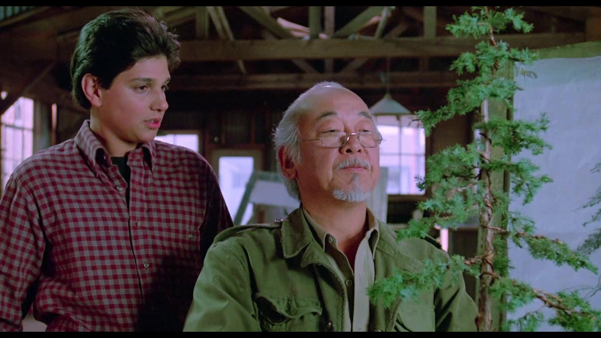 El Karate Kid 3 [1989][BD-Rip][1080p][Lat-Cas-Ing][VS] NawwY8ue_o