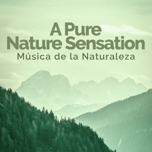 Relajacion del Mar - A Pure Nature Sensation - 2019