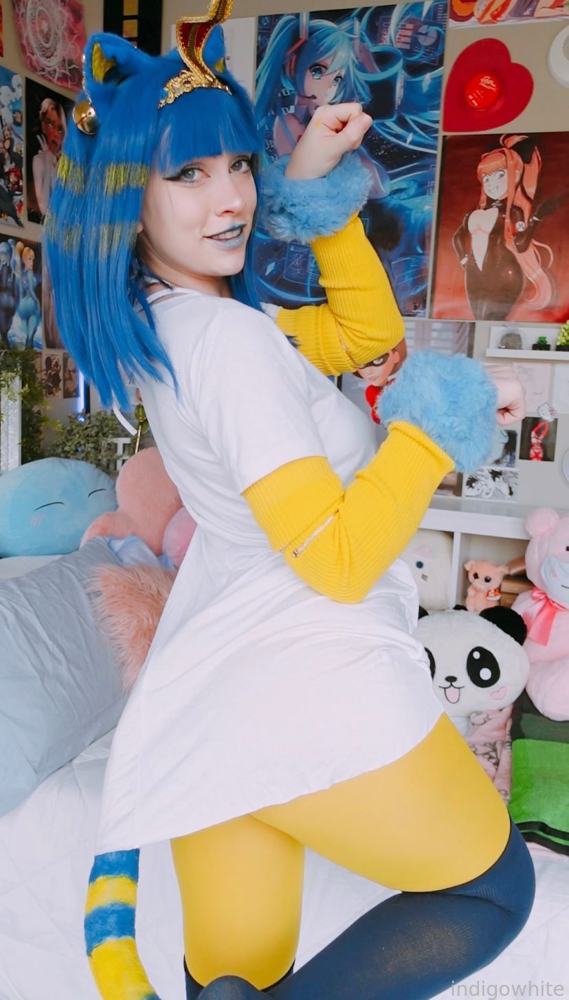 Indigo White - Ankha