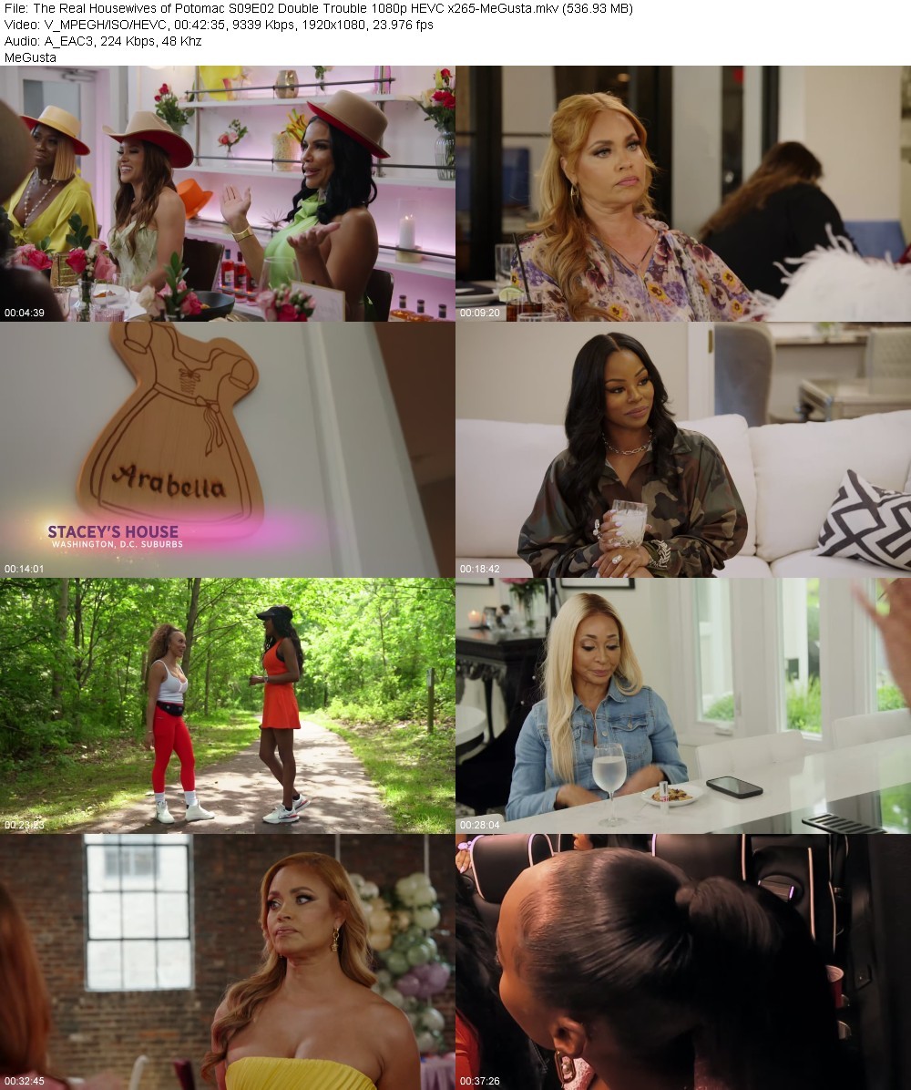 The Real Housewives of Potomac S09E02 Double Trouble 1080p HEVC x265-MeGusta