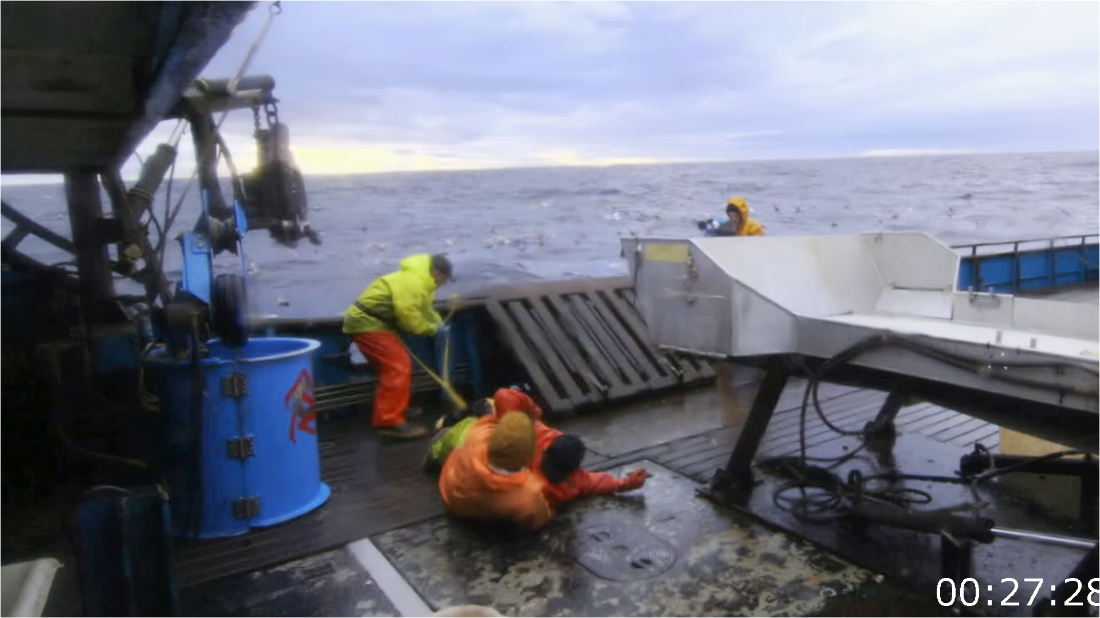 Deadliest Catch S20E10 [1080p/720p] (x265) HQA0FV0G_o