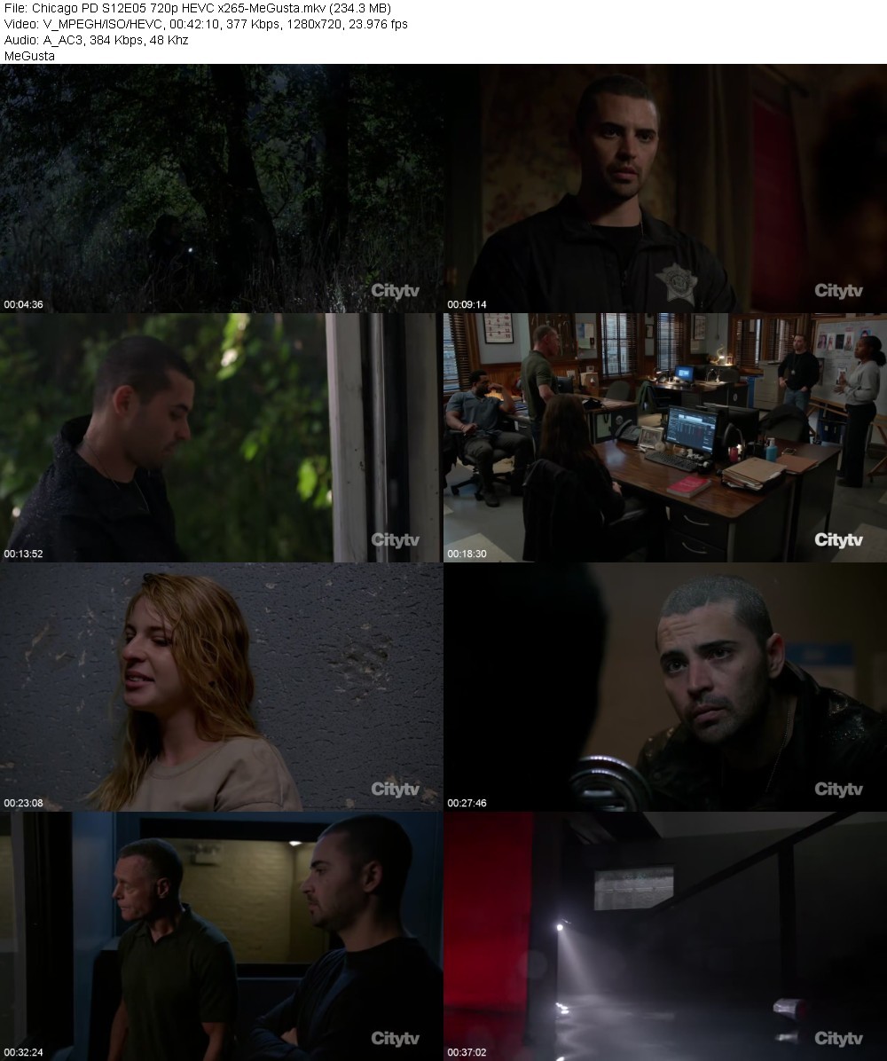 Chicago PD S12E05 720p HEVC x265-MeGusta