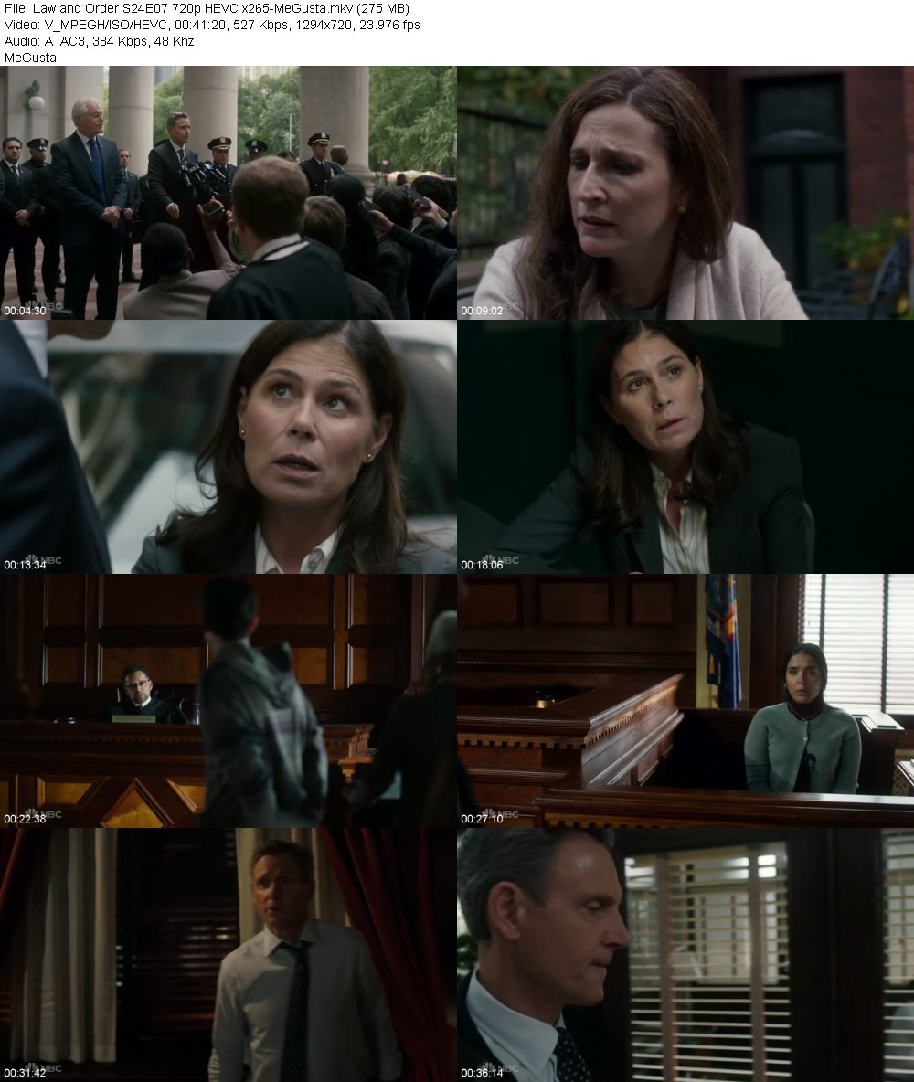 Law and Order S24E07 720p HEVC x265-MeGusta