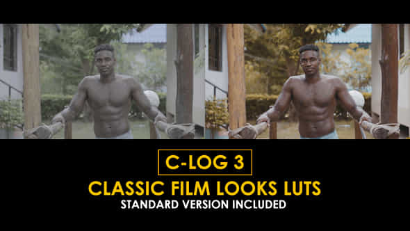 Clog3 Classic Film Looks And Standard Color Luts - VideoHive 51169455