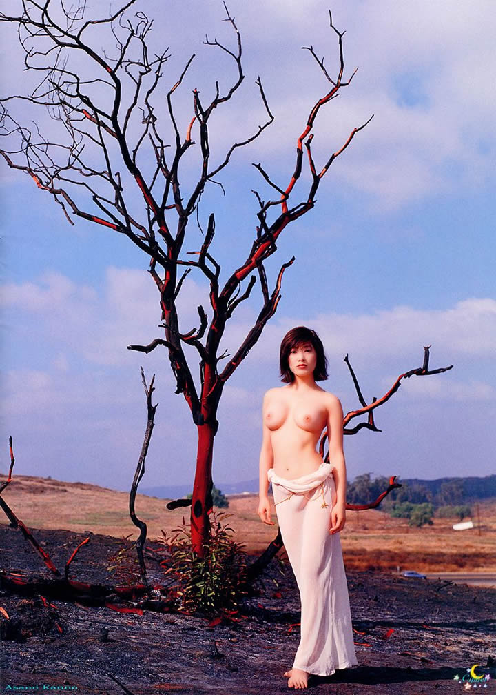 Need for the goddess Yang Simin Demon Flower Blossom Series No Holy Light Human Photo 2 18