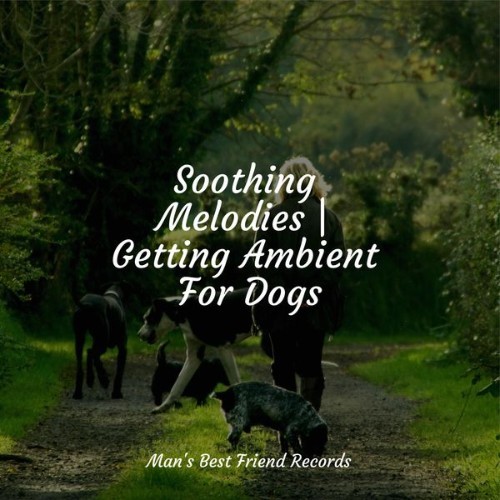 Official Pet Care Collection - Soothing Melodies  Getting Ambient For Dogs - 2022