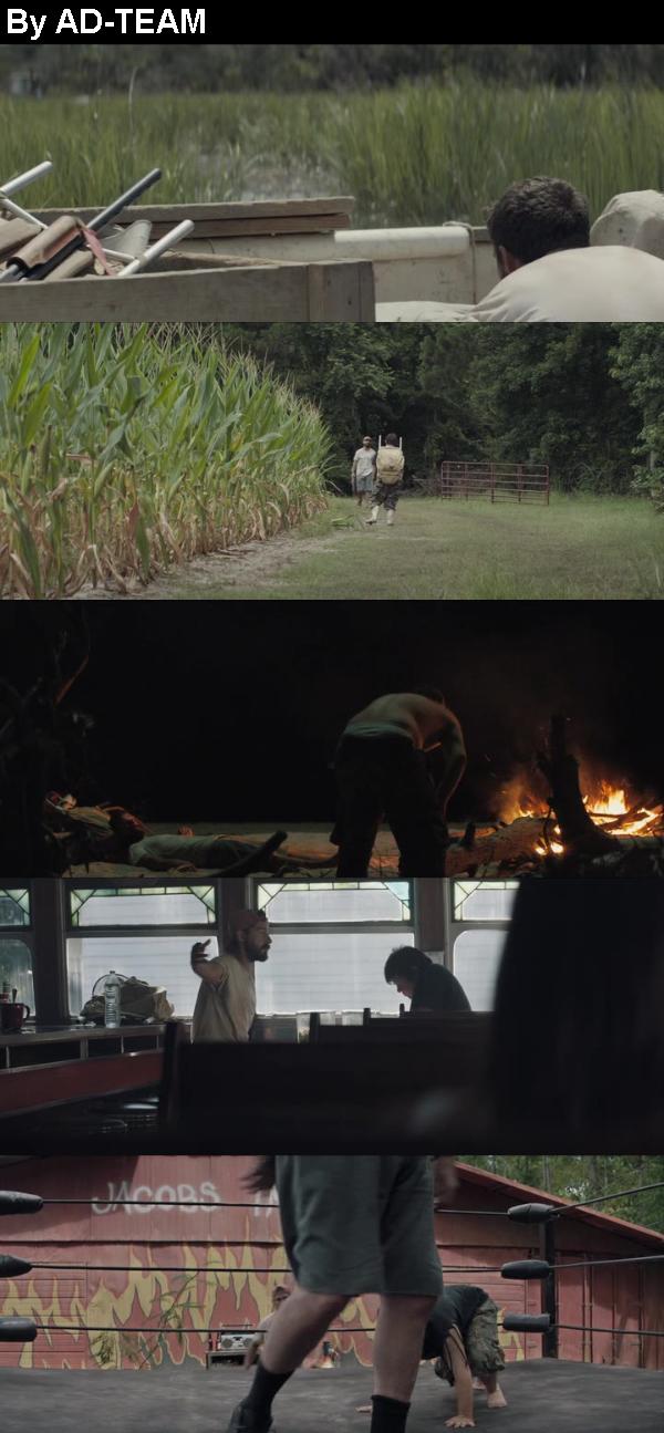 The Peanut Butter Falcon 2019 BDRip x264-DRONES The Peanut Butter Falcon 2019 BDRip x264-DRONES