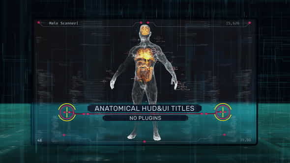 Anatomical HUD UI Titles - VideoHive 37136936